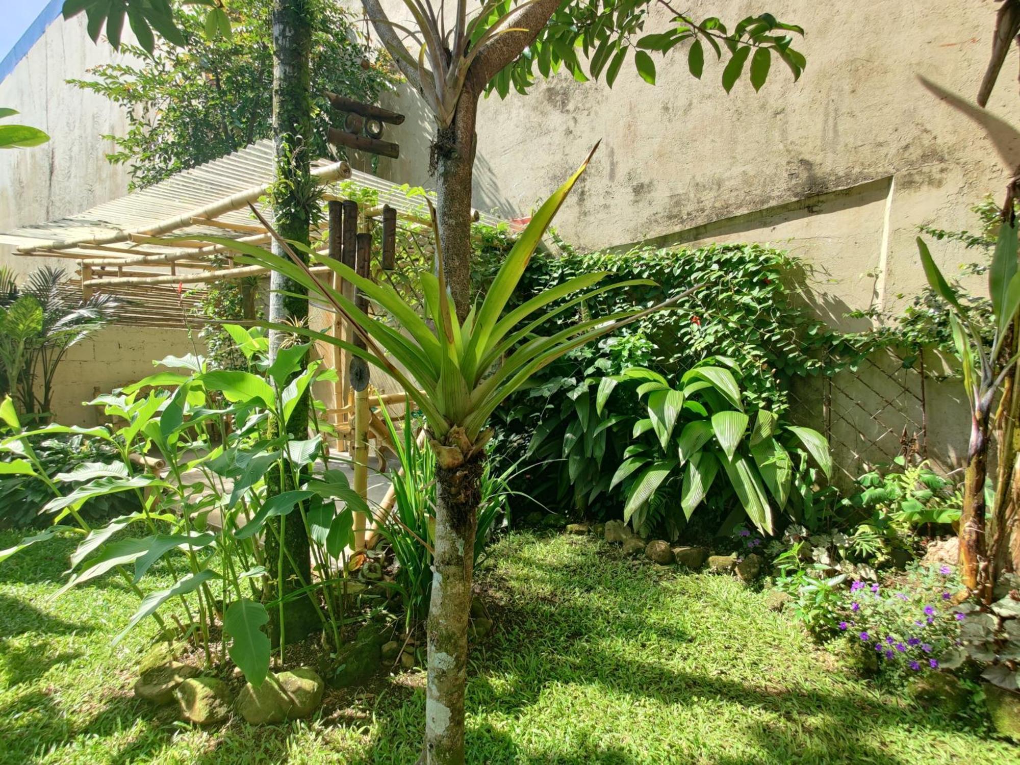 Casa De Lis Hotel & Tourist Info Centre Turrialba Exterior photo